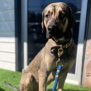 Frank — thumbnail 2