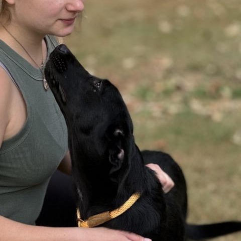 Enlarge Edith, a Adoptable mixed breed in Sparta, NJ image 3/6