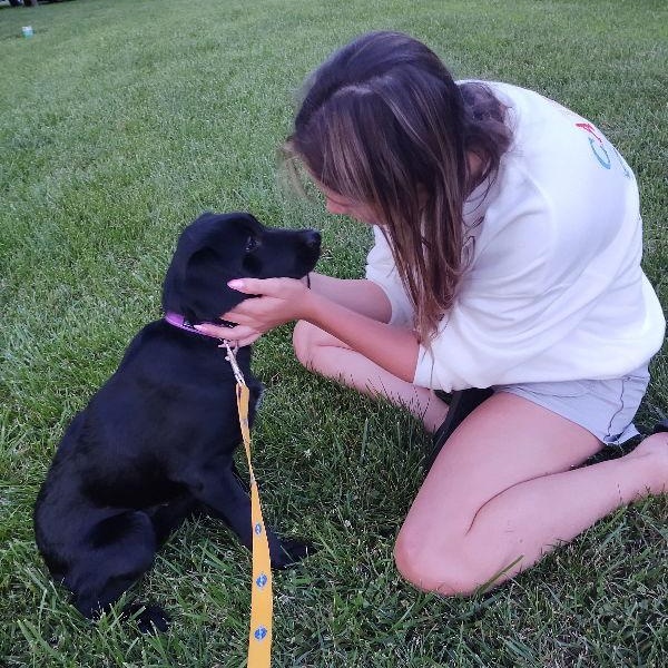 Edith, an adoptable Labradoodle, Beagle in Sparta, NJ, 07871 | Photo Image 3
