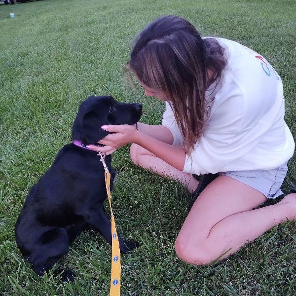 Edith, an adoptable Labradoodle, Beagle in Sparta, NJ, 07871 | Photo Image 6