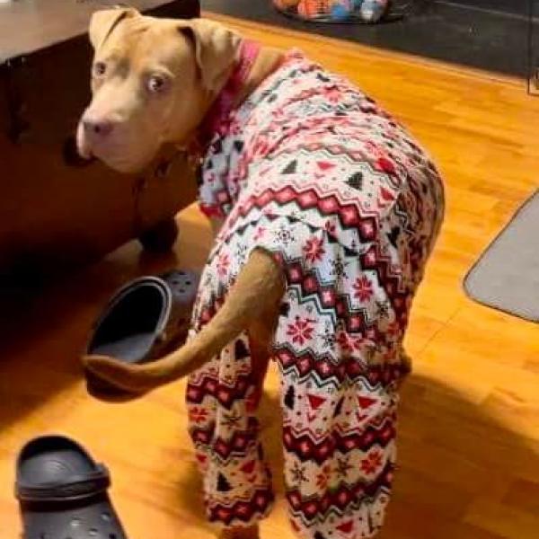 Abilene JuM — thumbnail 6