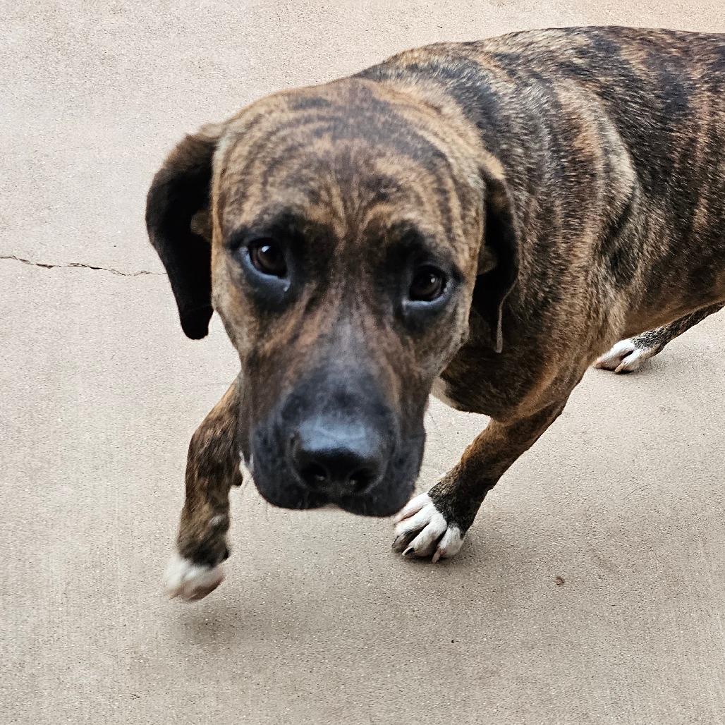 Jeep — thumbnail 5