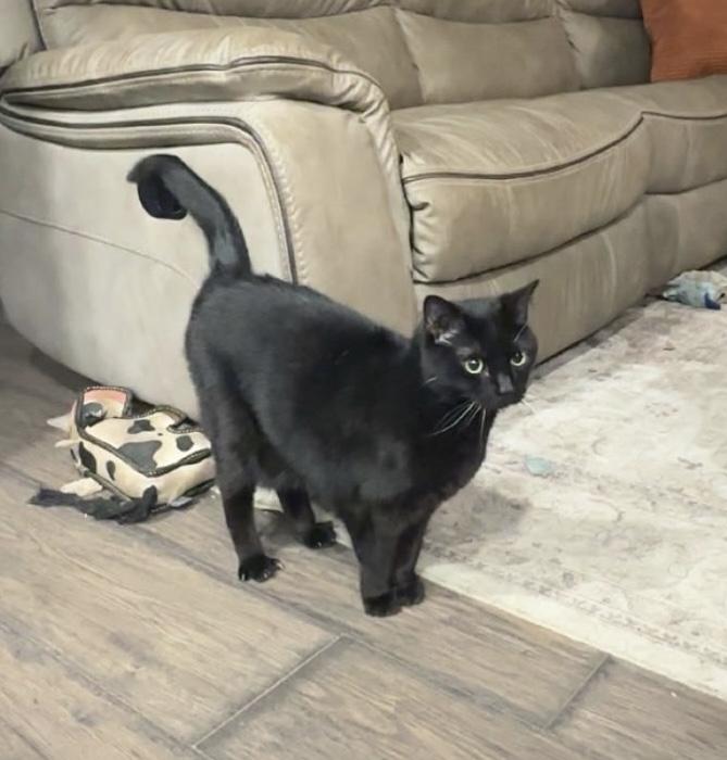 Tabitha And Sophia thumbnail 3