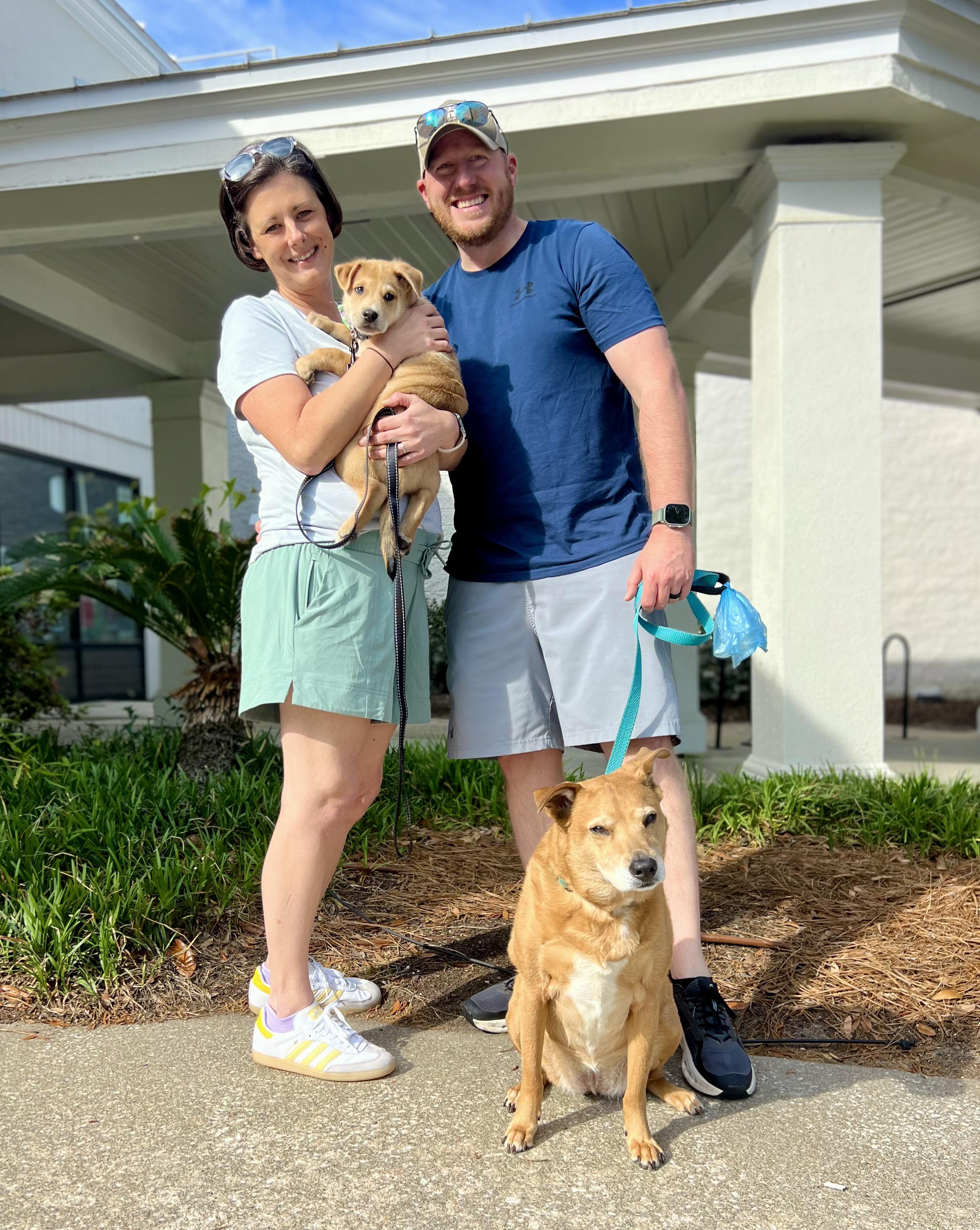 Enlarge Lucas, an adopted mixed breed in Mt Pleasant, SC image 5/5