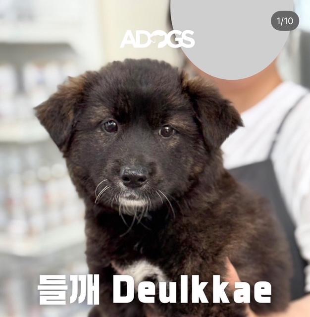 DEULKKAE
