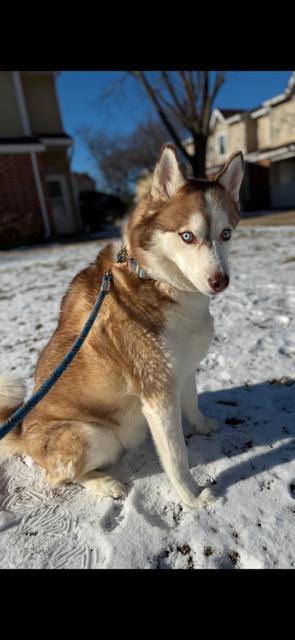 Finn photo 3