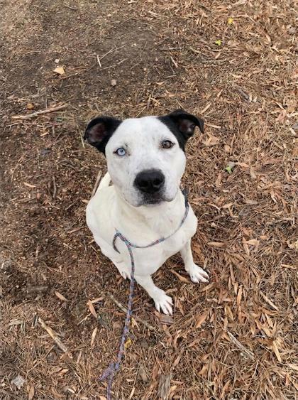 Mamma Mia — thumbnail 3