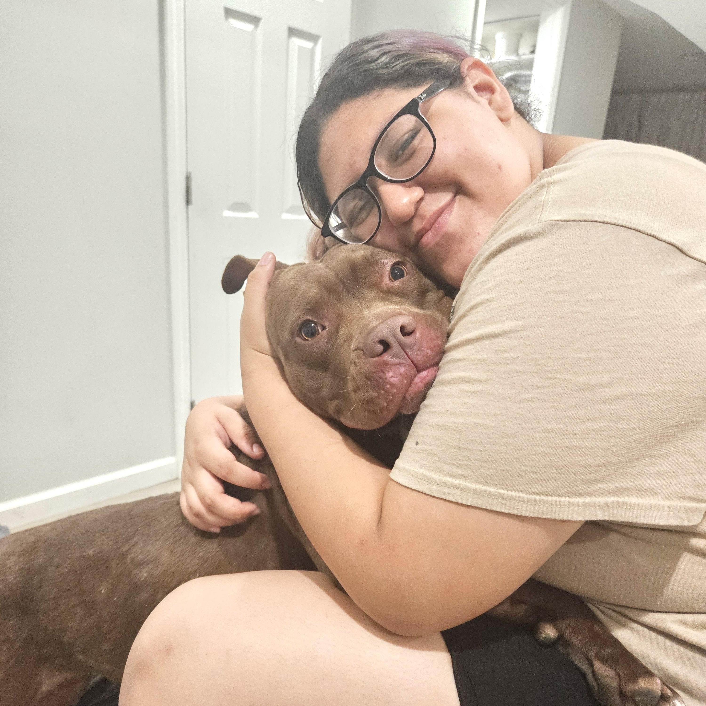 Enlarge Lilith, a Adoptable Pit Bull Terrier in Chicago, IL image 3/6