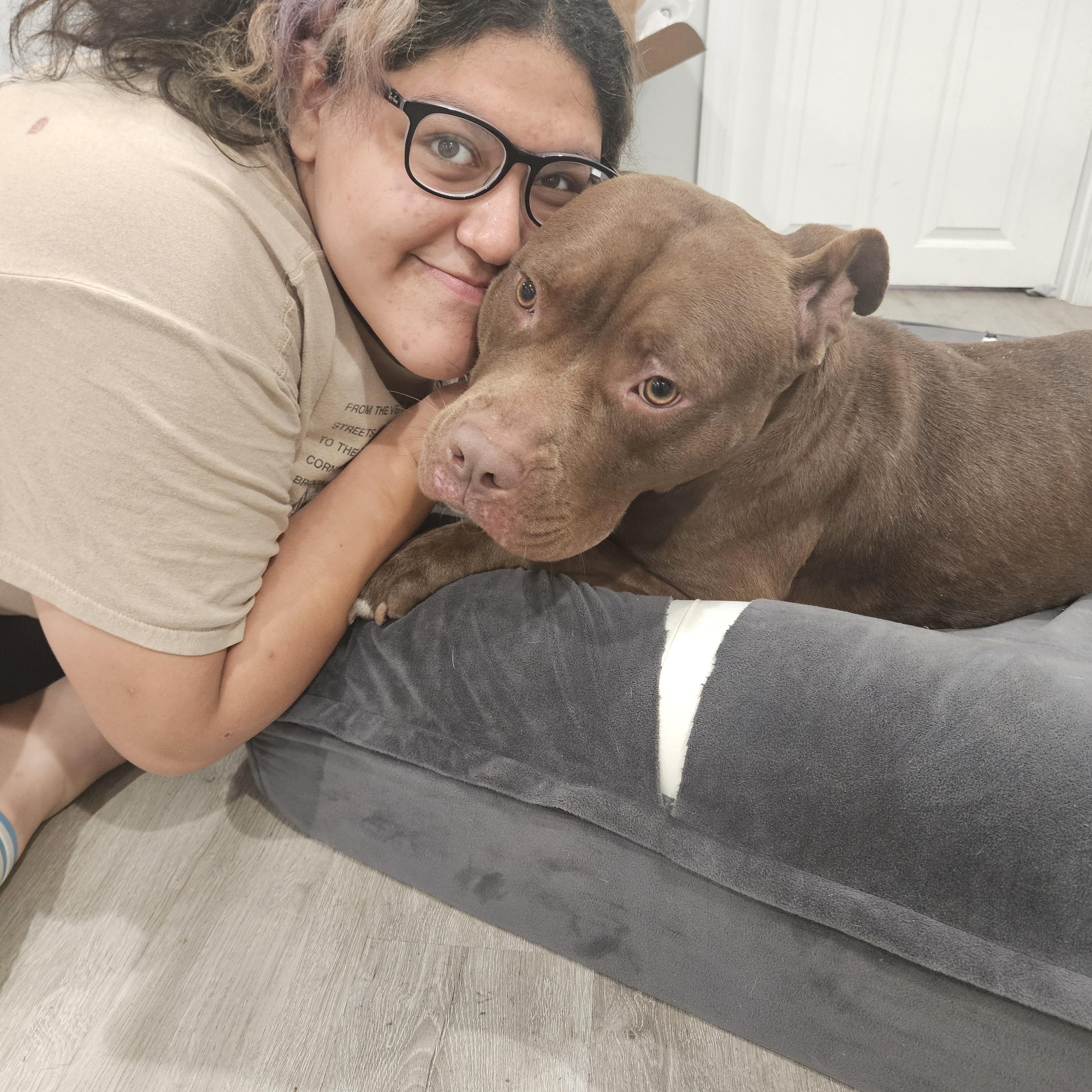 Lilith, Adoptable, Adult Female Pit Bull Terrier.