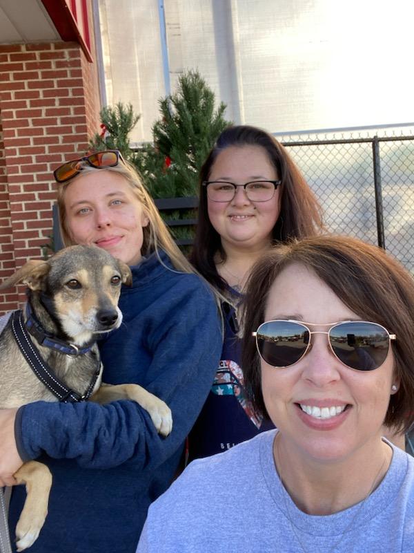 Enlarge Bo, a Adoptable mixed breed in Benson, NC image 6/6