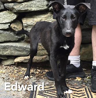 Edward