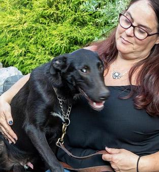 Enlarge Edward, a Adoptable mixed breed in Canterbury, CT image 4/6