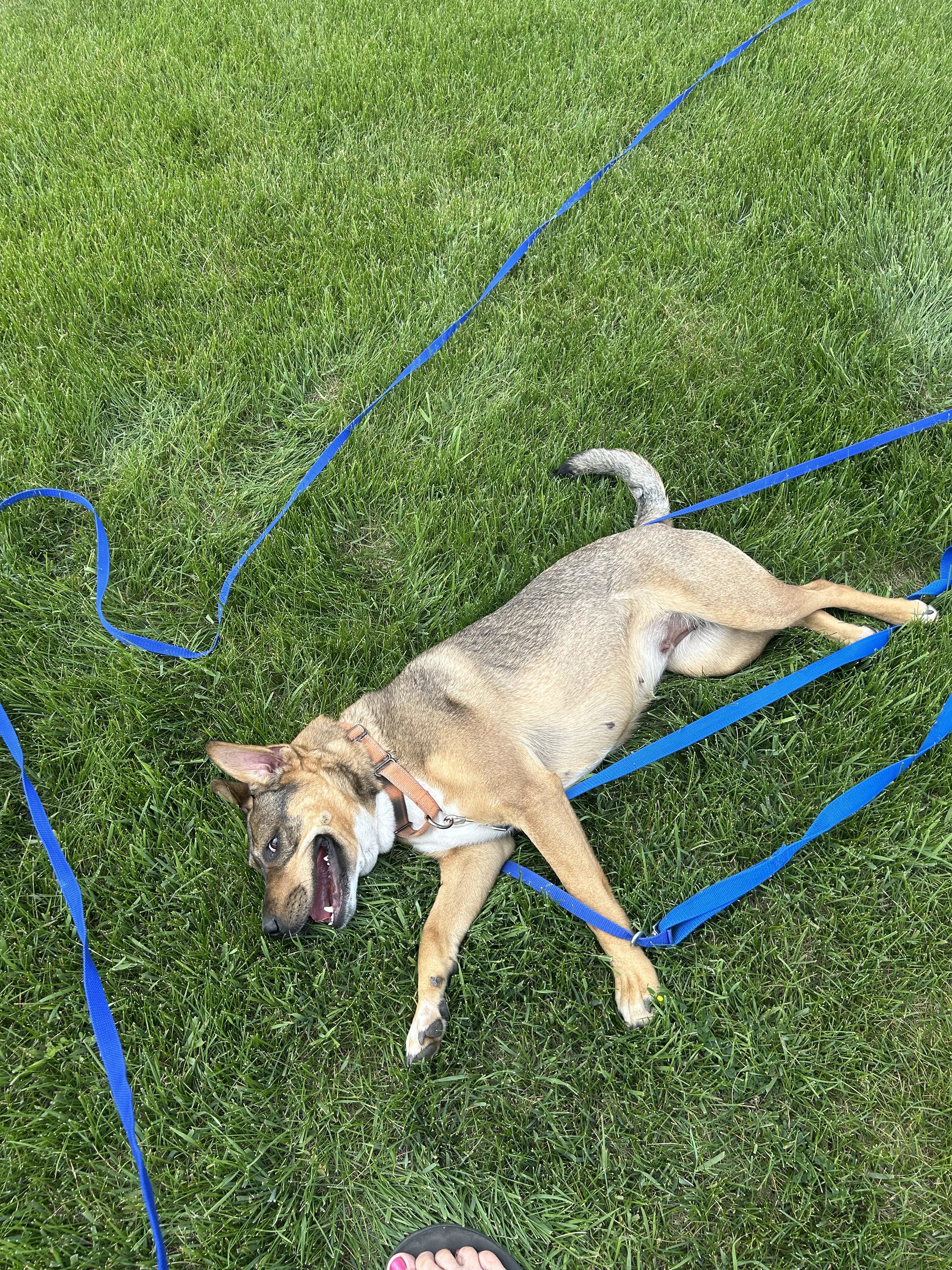 Marty photo 3