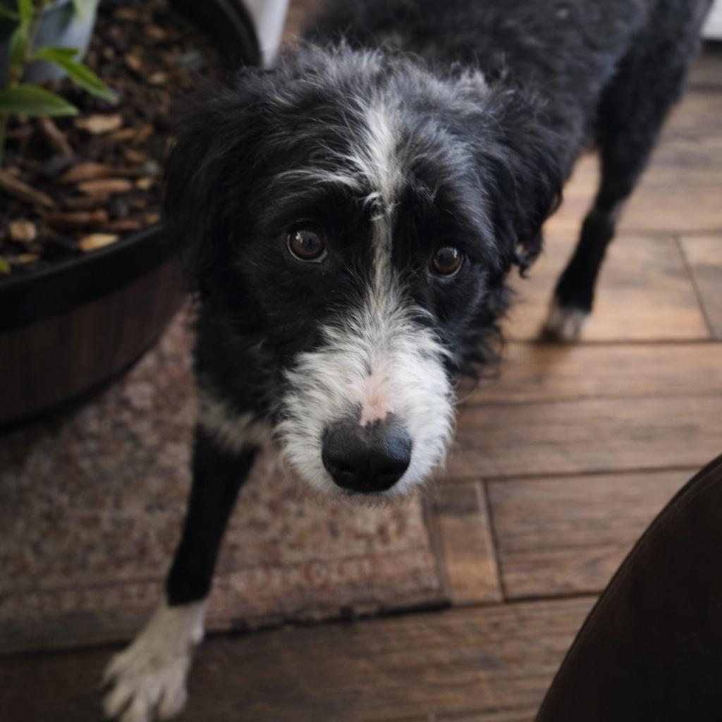 Livey — thumbnail 3