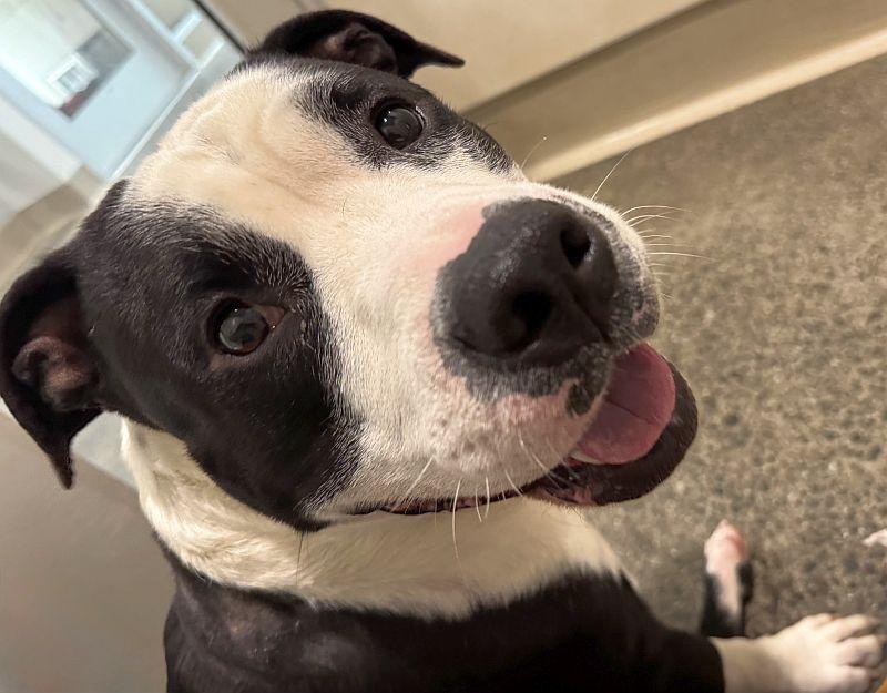 Bruce