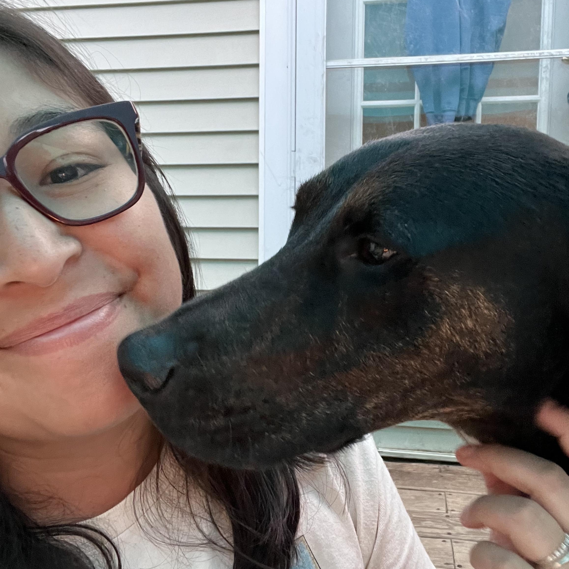 Odin, an adopted mixed breed in Bowdoin, ME image 2/6