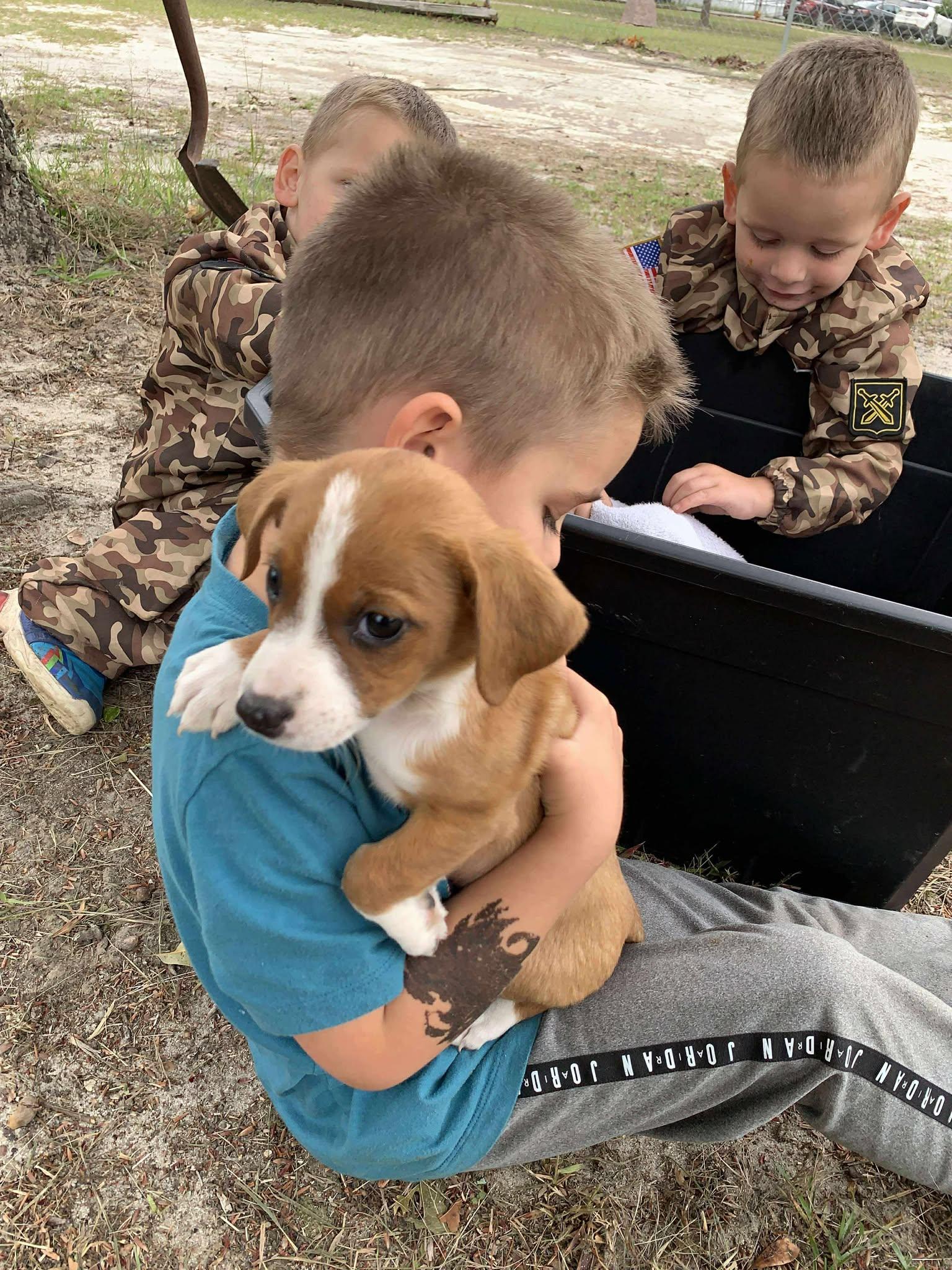 Bootsie, Baby Female Mixed Breed