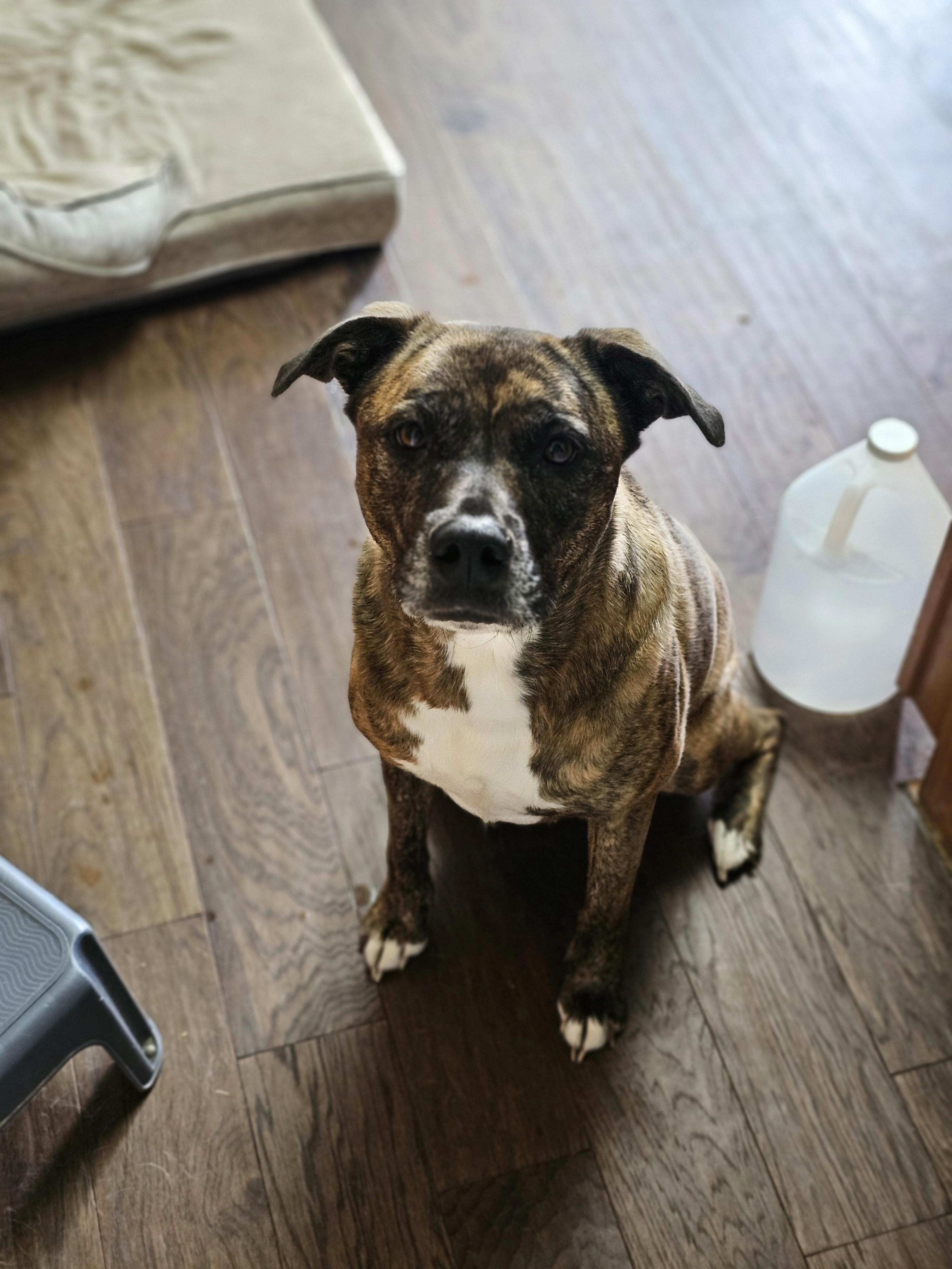 Courtesy Listing- Bonnie