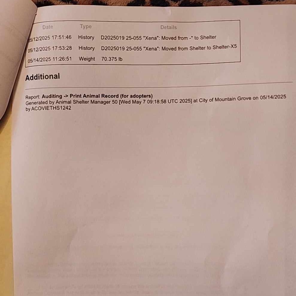 Enlarge Xena, a Adoptable mixed breed in West Plains, MO image 5/5