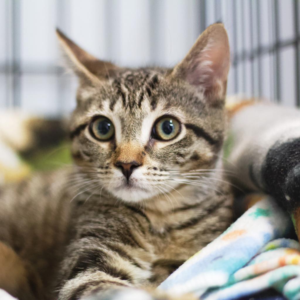 Judy Blume — thumbnail 2