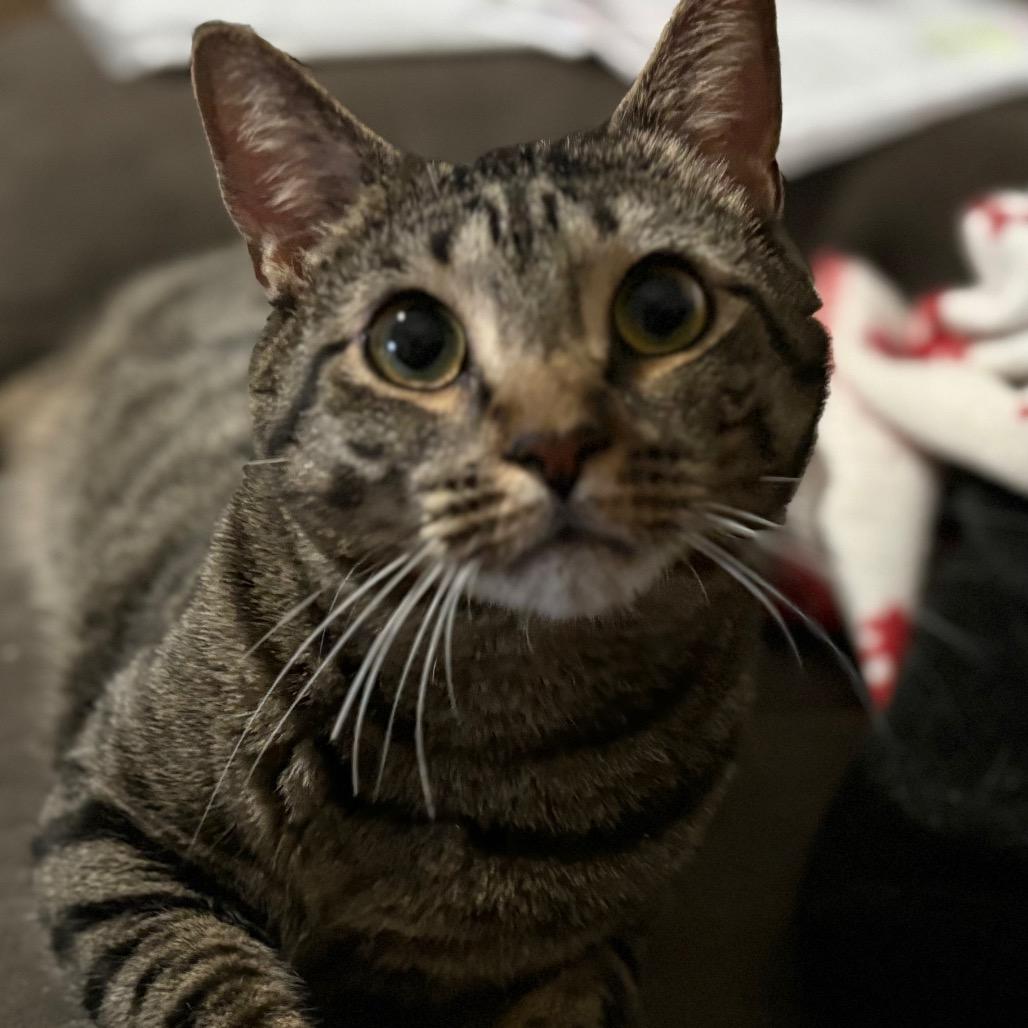 Judy Blume — thumbnail 3