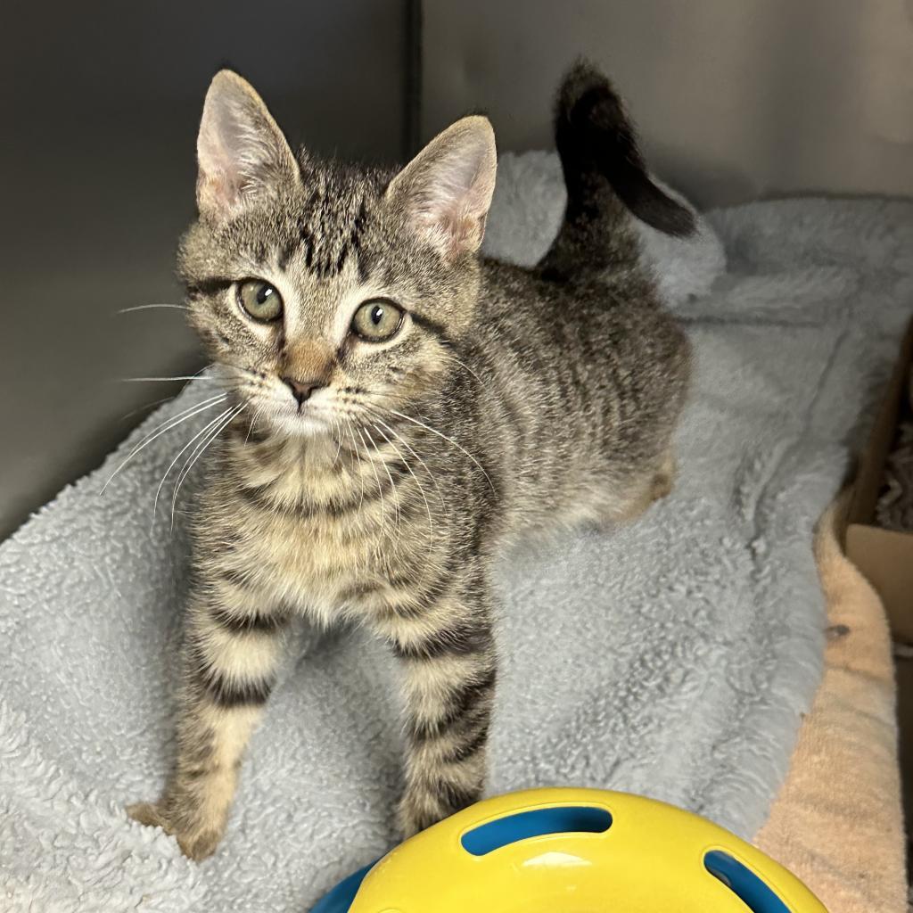 Judy Blume — thumbnail 4