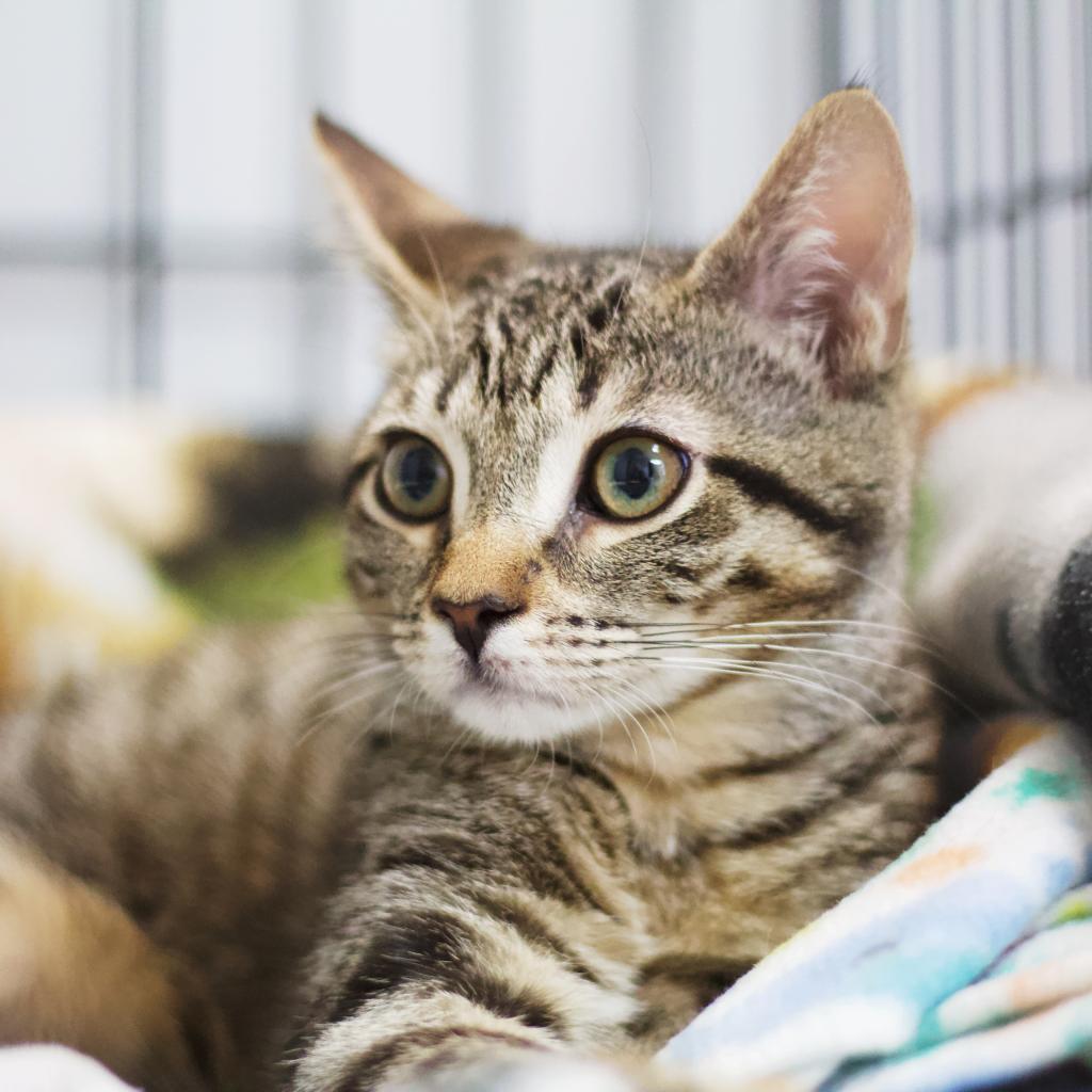 Judy Blume — thumbnail 6