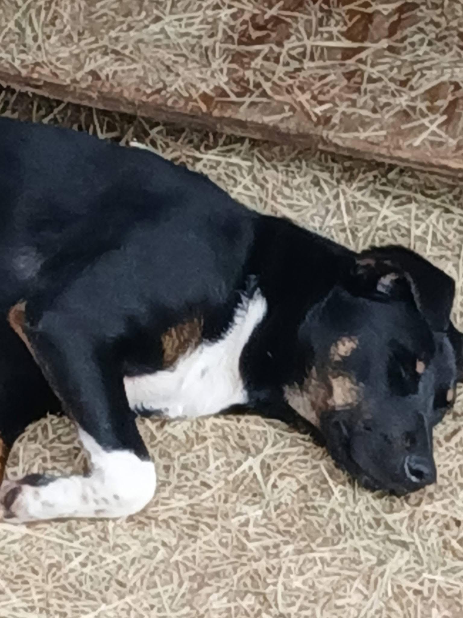 Keno Terrific — thumbnail 4