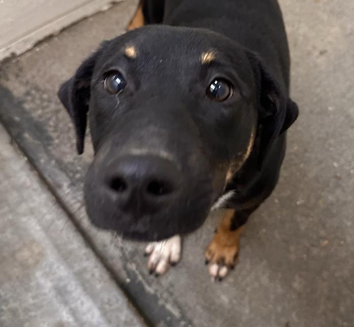 Keno Terrific — thumbnail 6