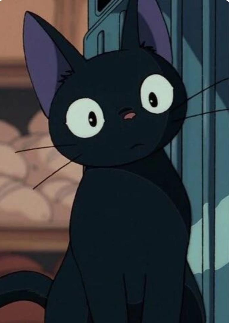 Enlarge Jiji, an adopted mixed breed in Toluca Lake, CA image 2/5