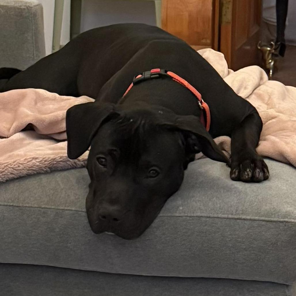 Mackenzie thumbnail 2