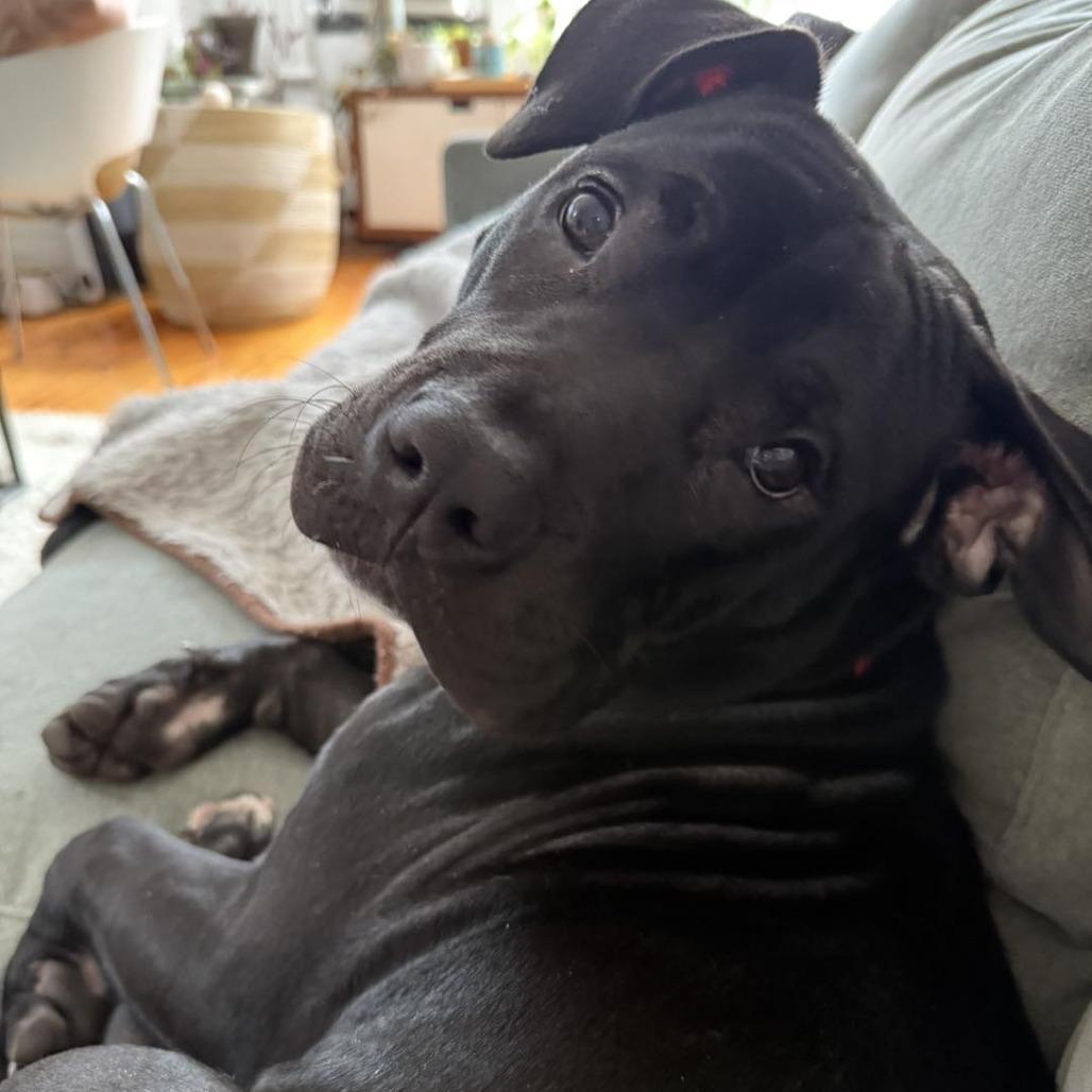 Mackenzie thumbnail 3