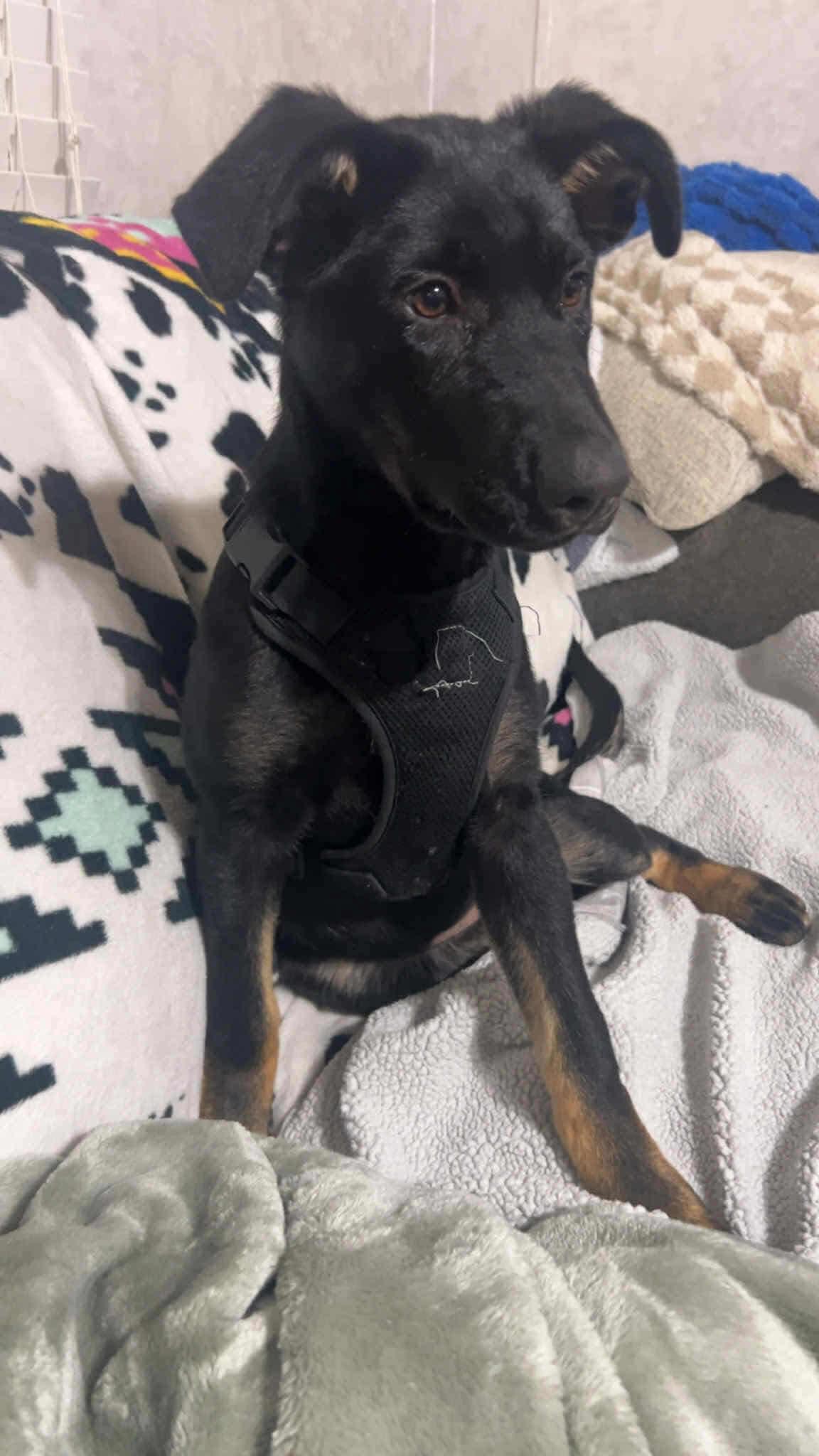 Winnie — thumbnail 2