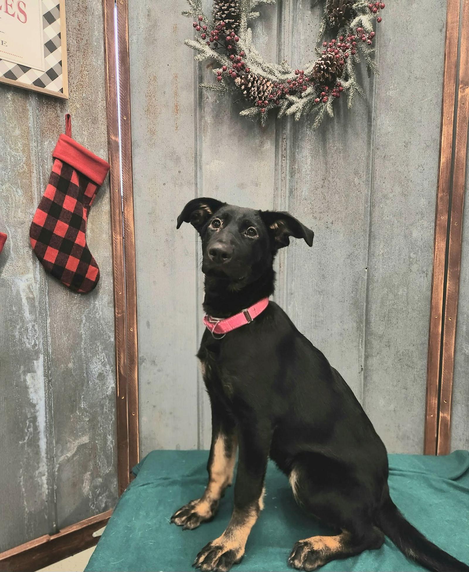 Winnie — thumbnail 3