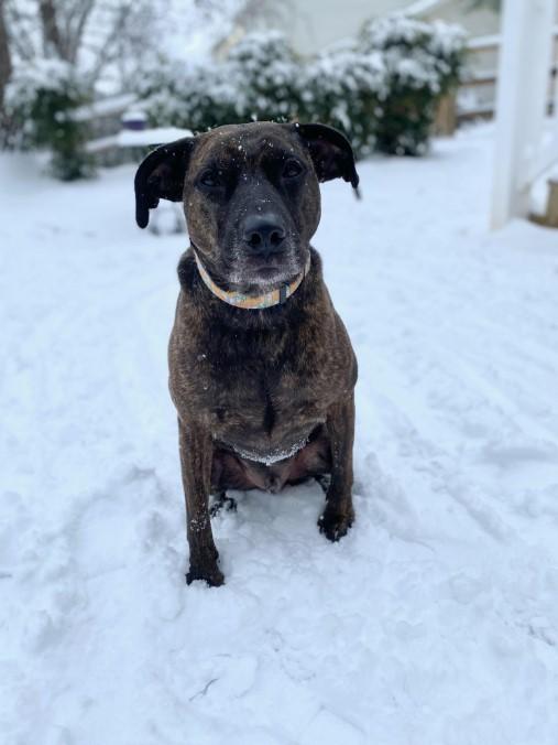 Milo-Rehoming photo 5