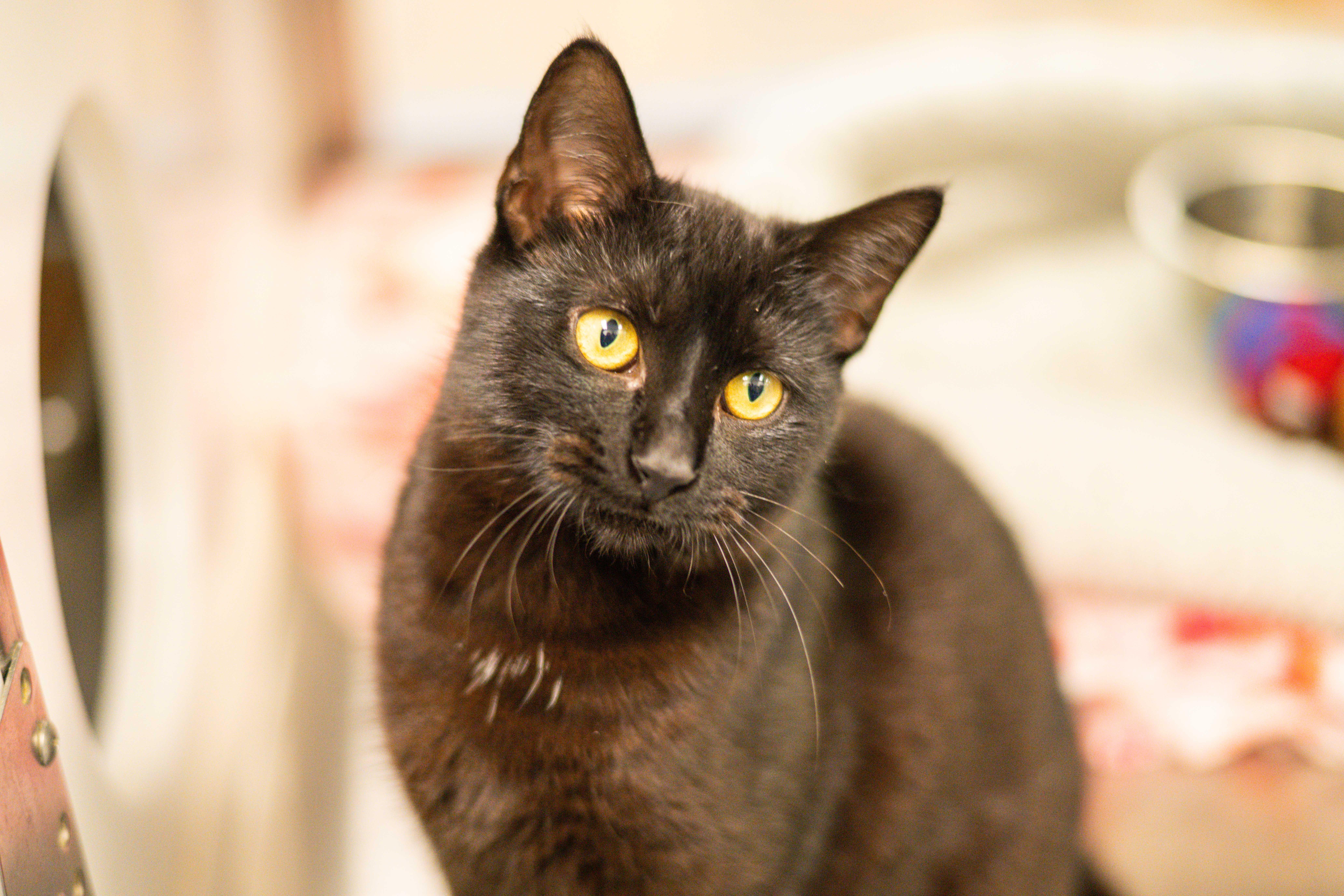 Midnight Rain — thumbnail 4