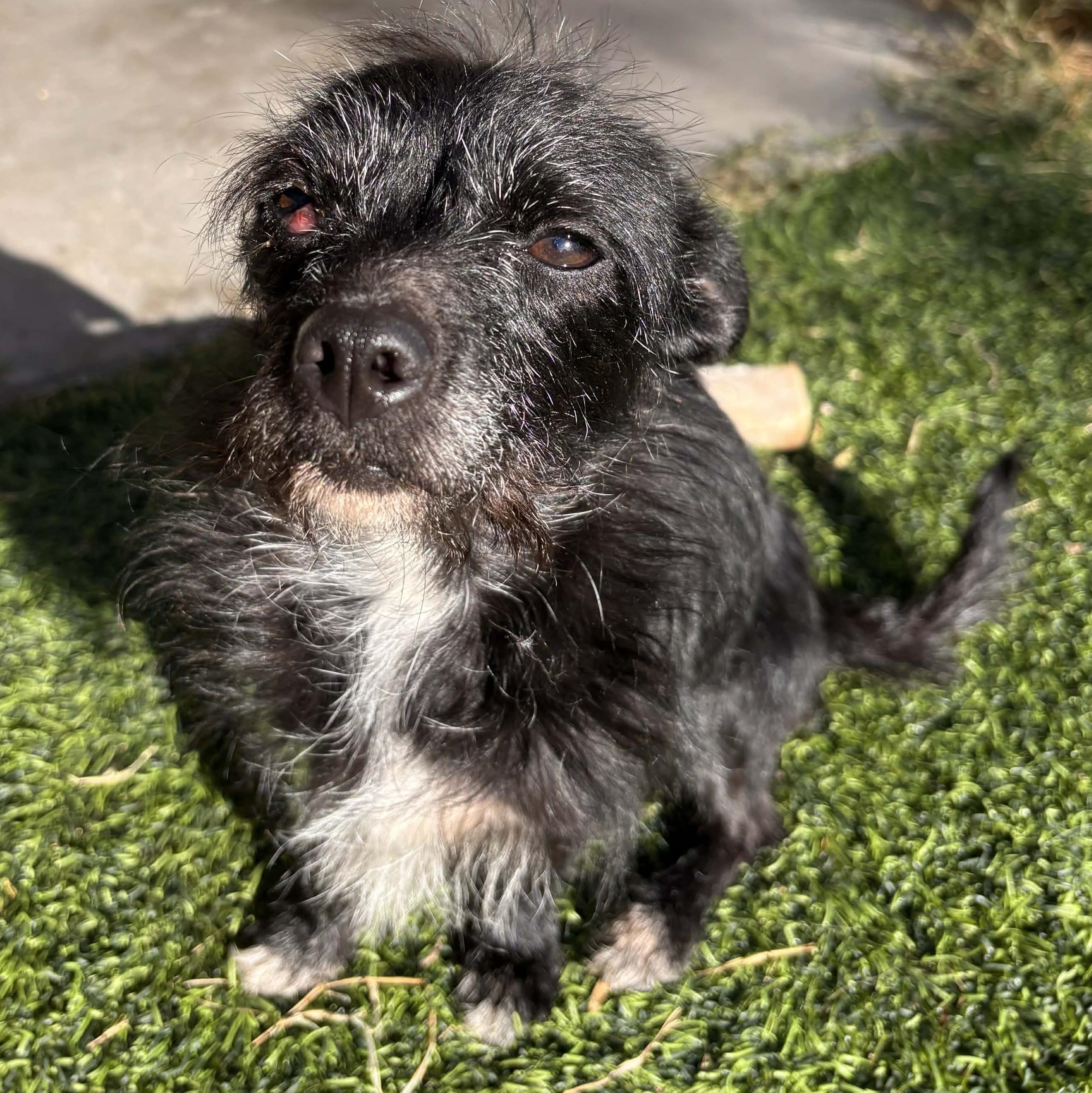 Betty White thumbnail 3