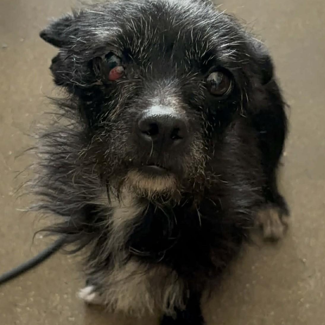 Betty White thumbnail 4