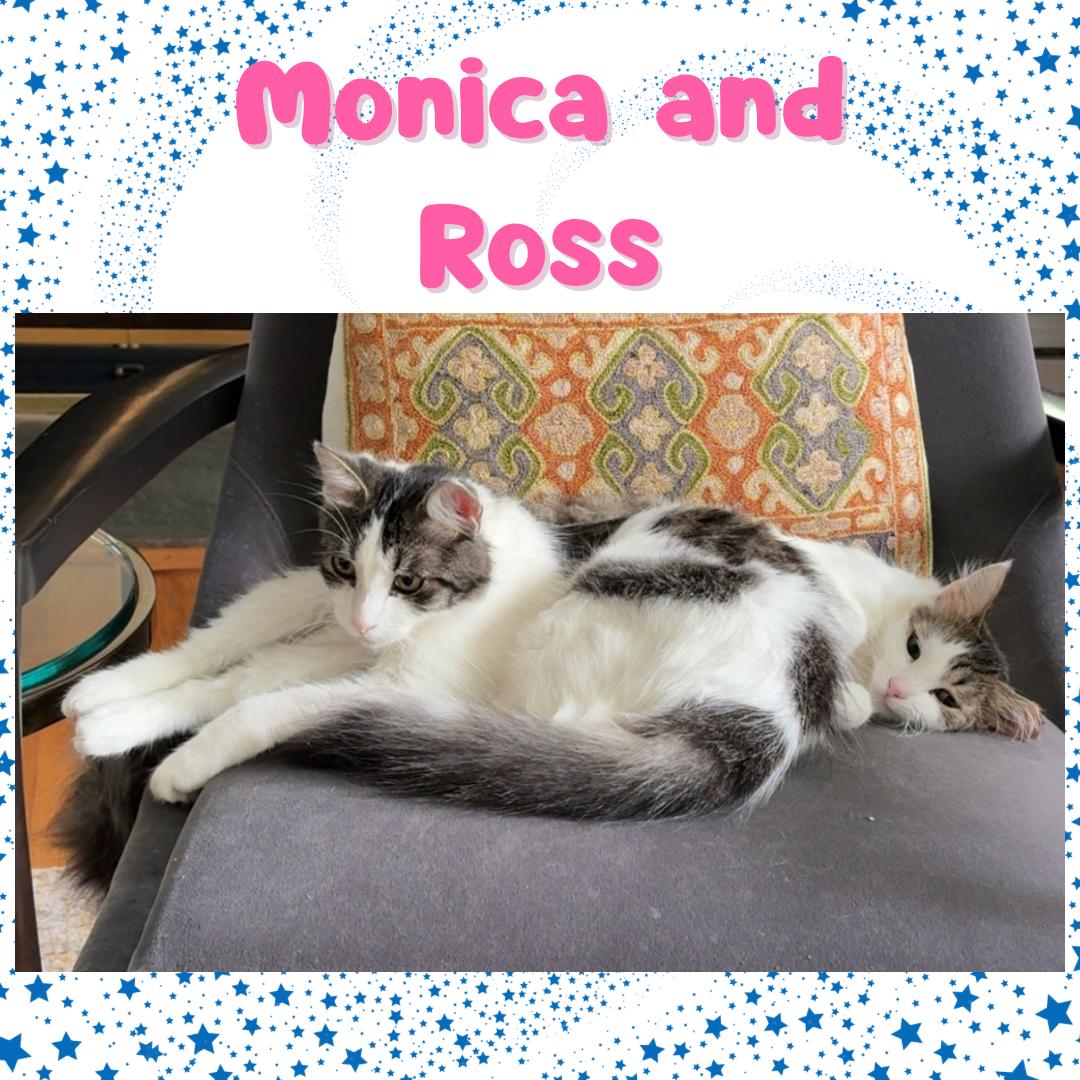 Monica and Ross