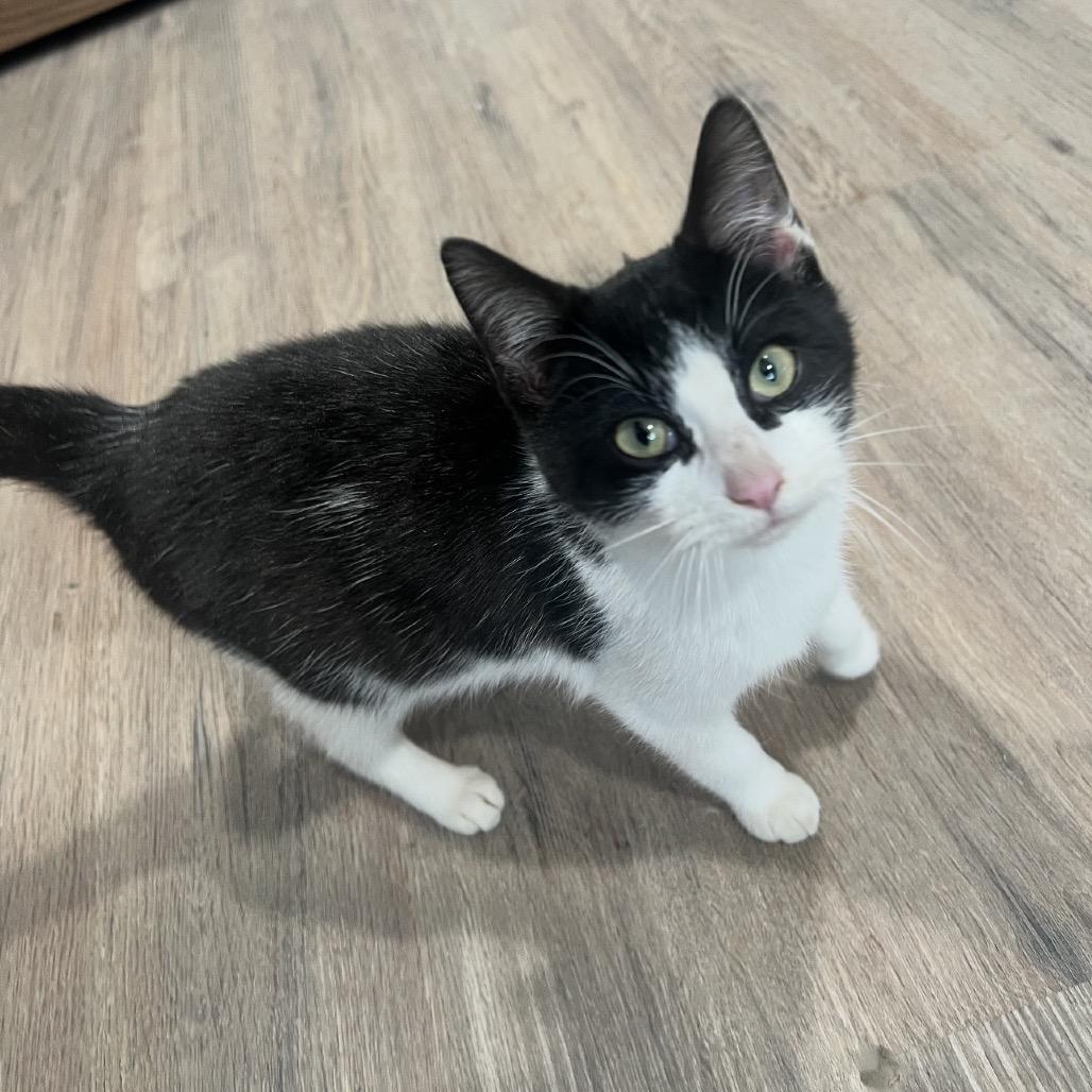 Maxine — thumbnail 3