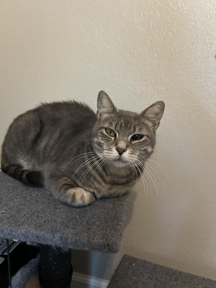 June-Bug — thumbnail 3