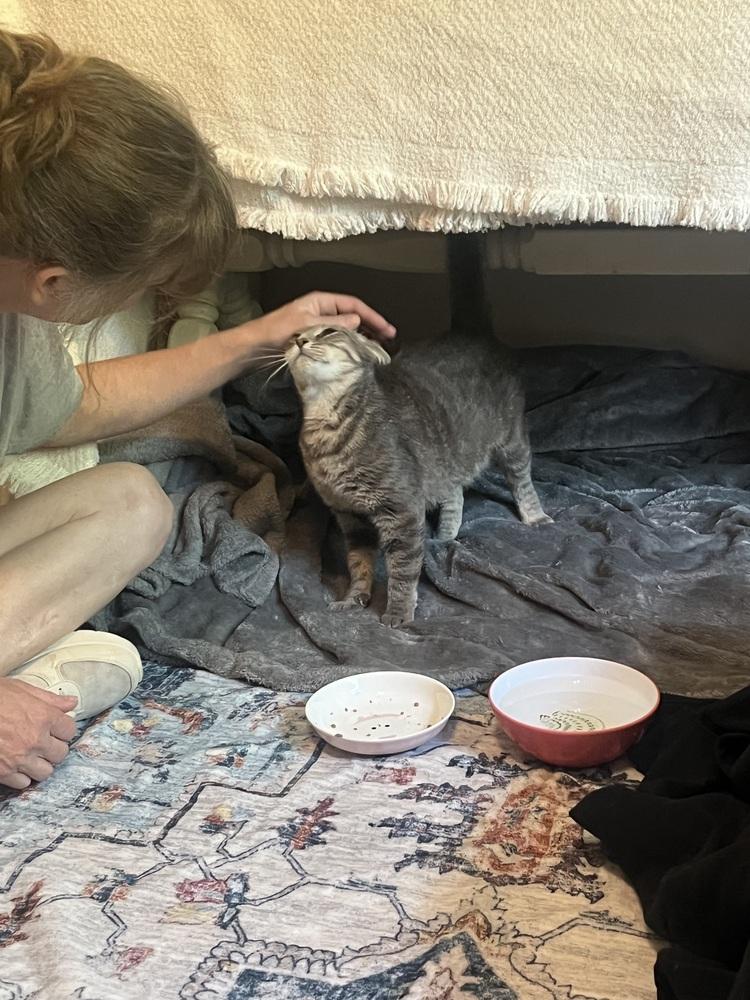 June-Bug — thumbnail 5