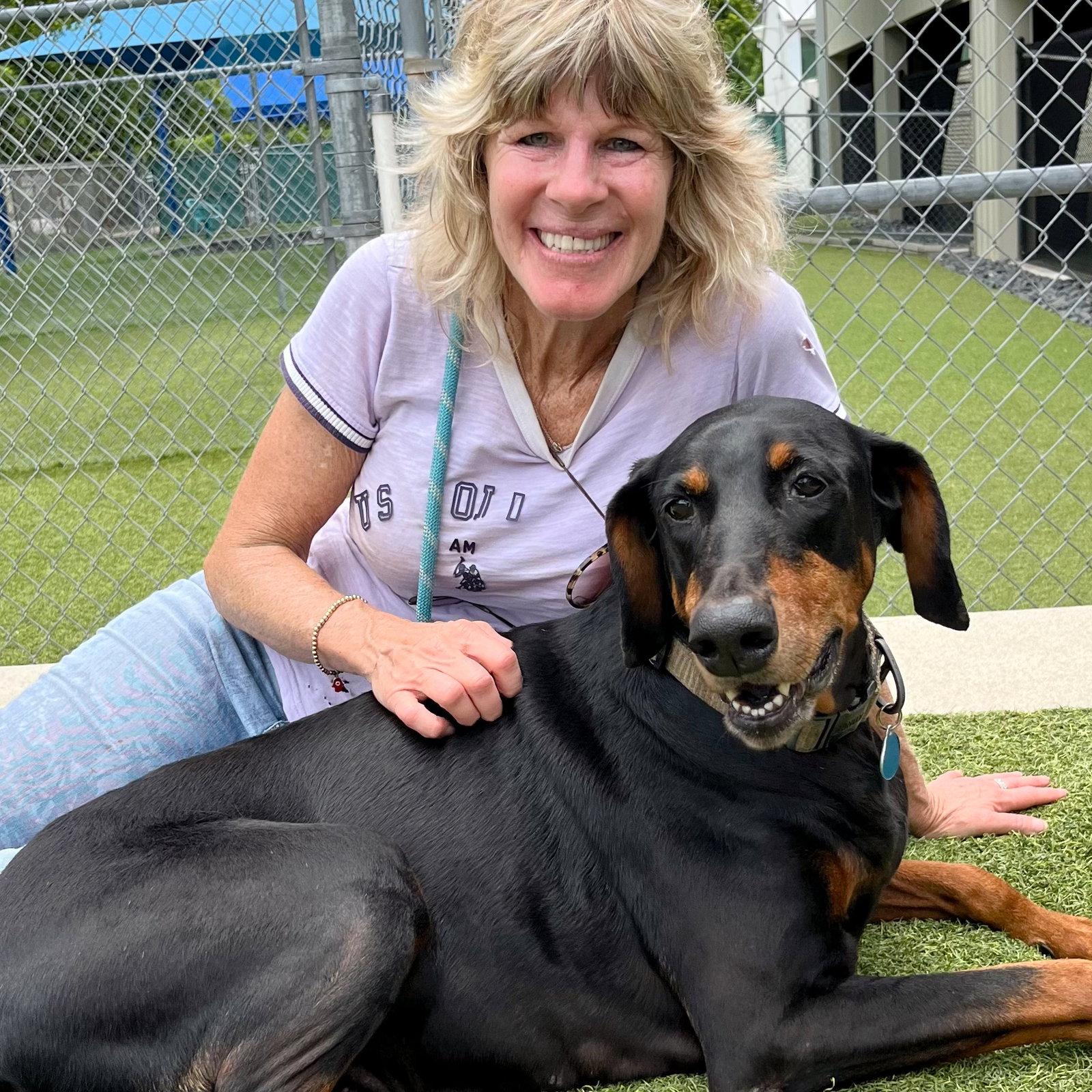 Ace 3248, a Adoptable Doberman Pinscher in Oakland Park, FL image 1/3