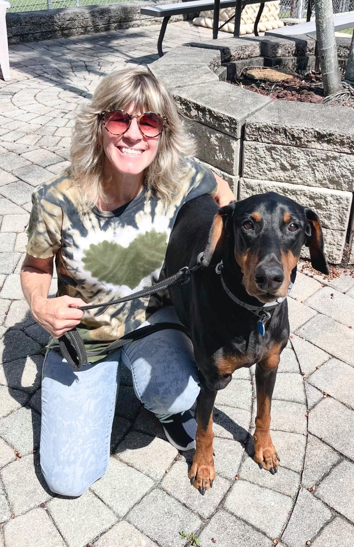 Ace 3248, Adoptable, Young Male Doberman Pinscher.