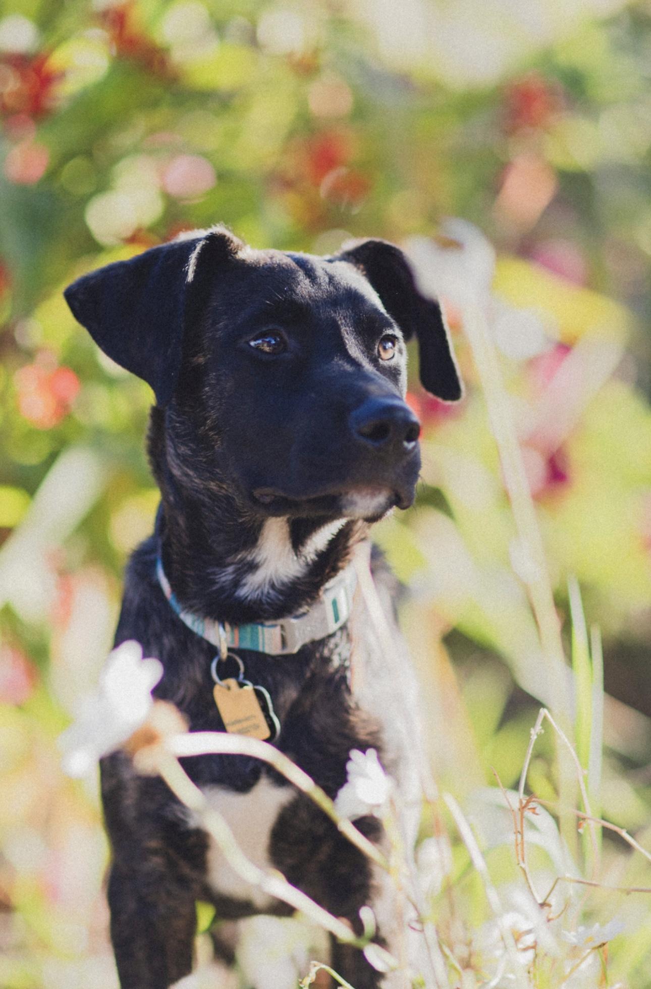 Waylon photo 3