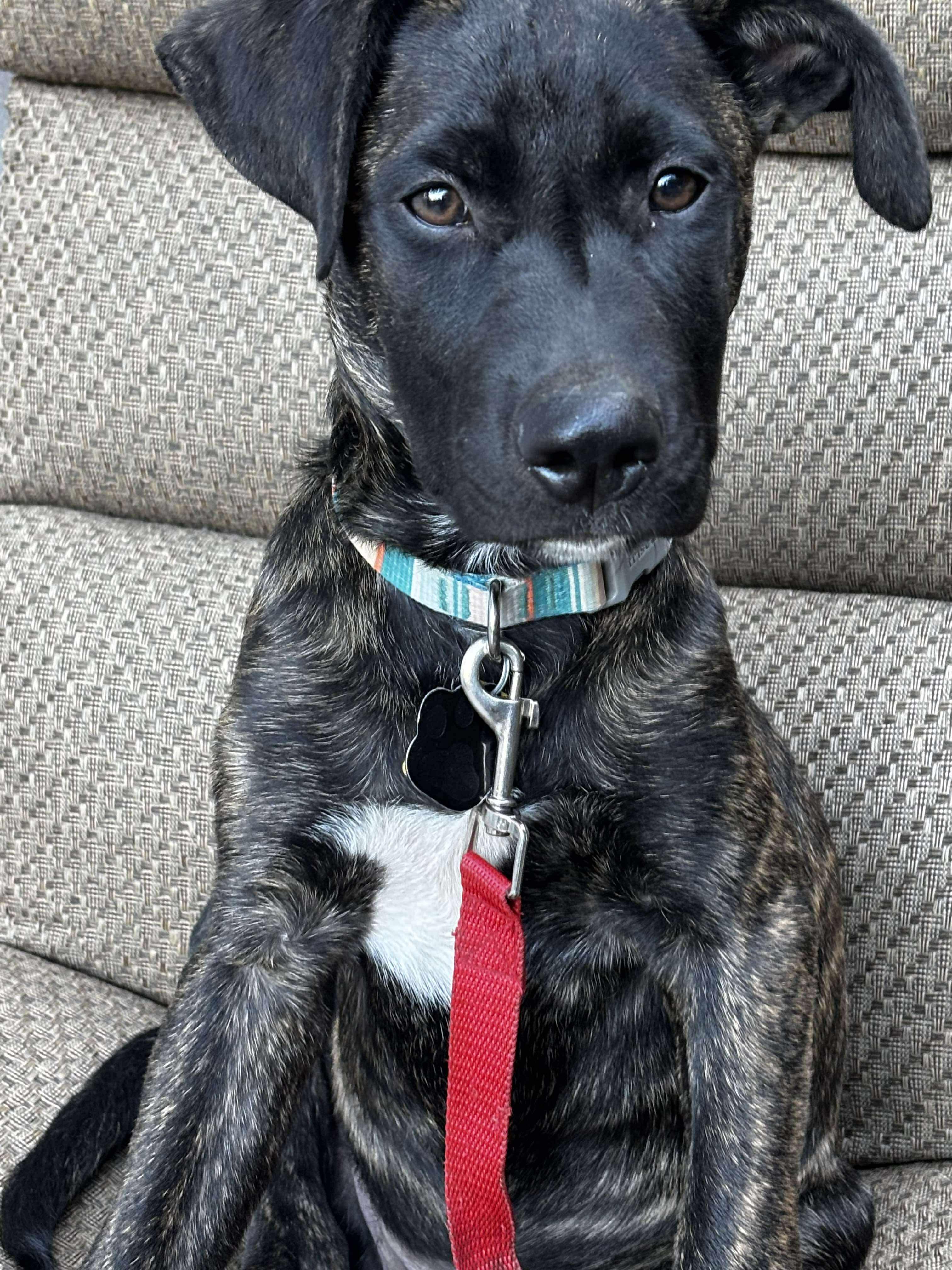 Waylon photo 5