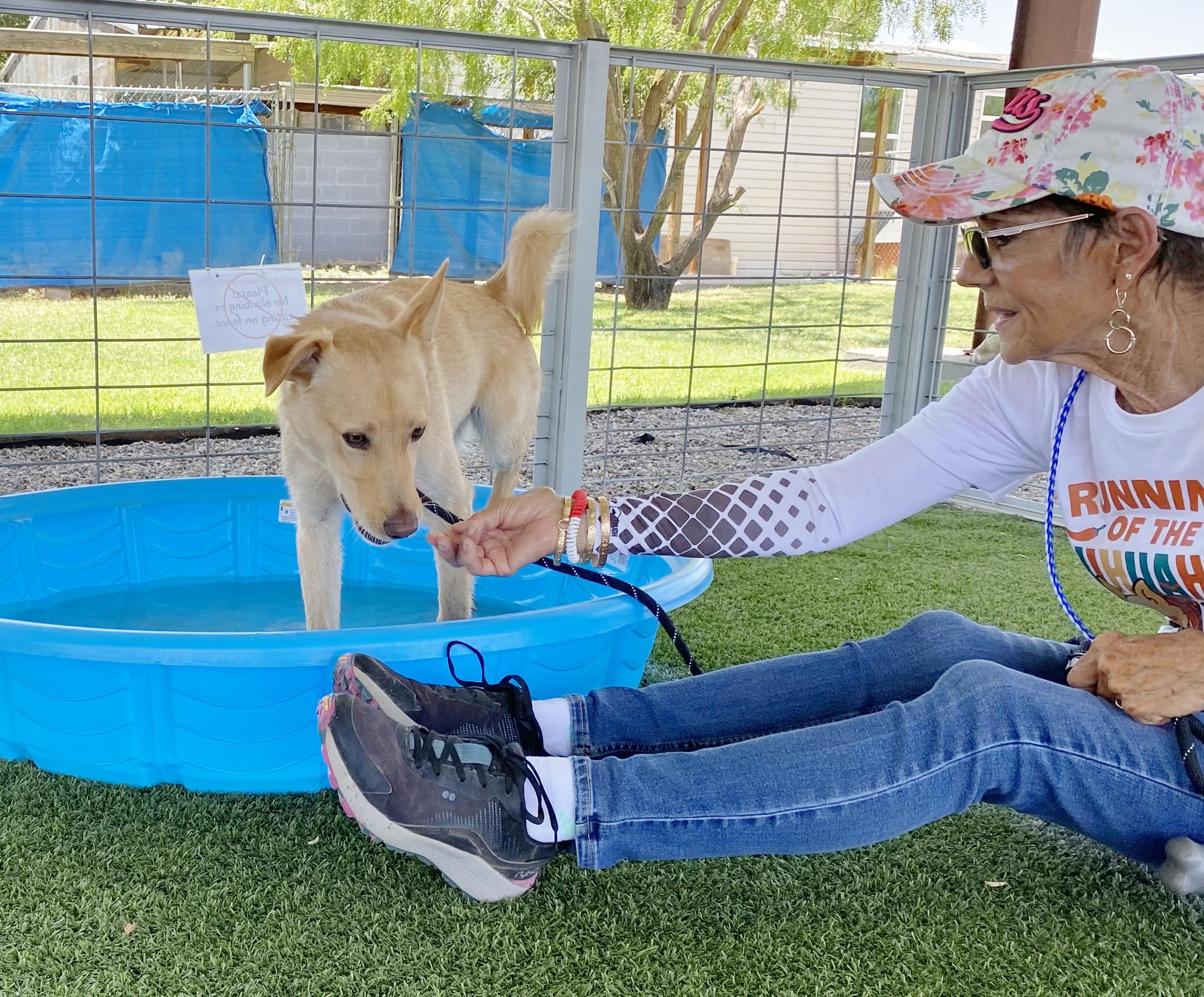 Barrel, a Adoptable mixed breed in El Paso, TX image 2/6