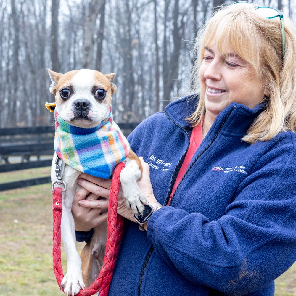 Enlarge Jasper (Male)    Avail 3/7, an adopted Boston Terrier in West Grove, PA image 2/6