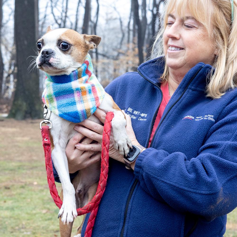 Enlarge Jasper (Male)    Avail 3/7, an adopted Boston Terrier in West Grove, PA image 5/6