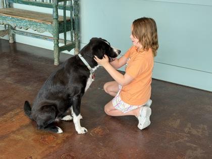 Cowgirl, a Adoptable mixed breed in San Antonio, TX image 3/3